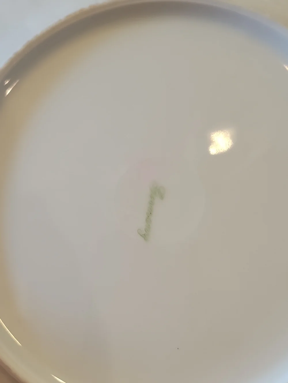 Vintage Bavaria Schumann Arzberg Plates